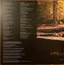 Load image into Gallery viewer, Kurt Vile : (Watch My Moves) (2xLP, Album)