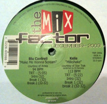 Load image into Gallery viewer, Various : The Mix Factor (December 2003) (2x12&quot;, Comp, P/Mixed)