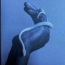 Load image into Gallery viewer, Animals As Leaders : Parrhesia (LP, Album, Ltd, Neo)