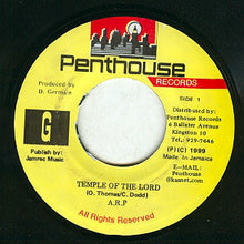 Load image into Gallery viewer, A.R.P. (2) : Temple Of The Lord (7")