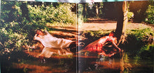 Load image into Gallery viewer, Let's Eat Grandma : Two Ribbons (LP + 7", S/Sided + Album, Ltd)