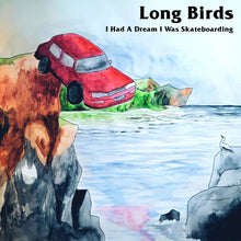 Load image into Gallery viewer, Long Birds : I Had A Dream I Was Skateboarding (LP, Album, Num, Ran)