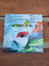 Load image into Gallery viewer, Long Birds : I Had A Dream I Was Skateboarding (LP, Album, Num, Ran)