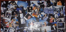 Load image into Gallery viewer, The Cranberries : Stars: The Best Of 1992-2002 (2xLP, Comp, RE, 180)