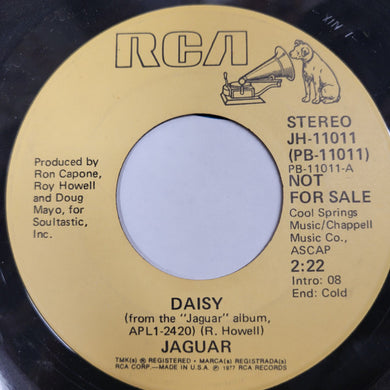 Jaguar (13) : Daisy (7