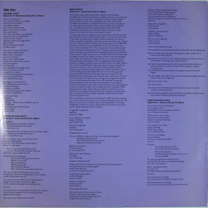 Blondie : The Hunter (LP, Album)