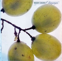 Load image into Gallery viewer, Wilbert Longmire : Champagne (LP, Album, Pit)