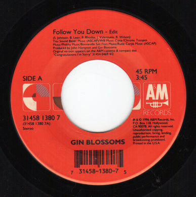 Gin Blossoms : Follow You Down (7