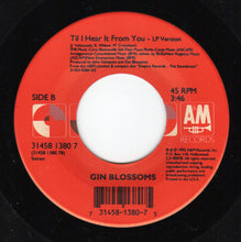 Load image into Gallery viewer, Gin Blossoms : Follow You Down (7&quot;)