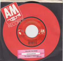 Load image into Gallery viewer, Gin Blossoms : Follow You Down (7&quot;)