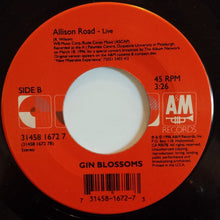 Load image into Gallery viewer, Gin Blossoms : As Long As It Matters (7&quot;)