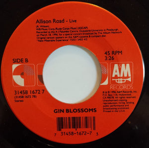 Gin Blossoms : As Long As It Matters (7")