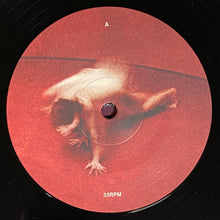 Load image into Gallery viewer, Lykke Li : Eyeye (LP, Album, 180)