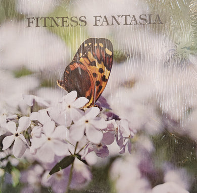 Fit N' Free Orchestra : Fitness Fantasia No. 17 (LP, Album)