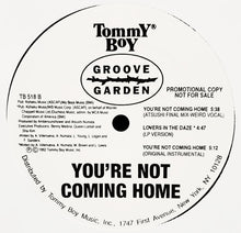 Load image into Gallery viewer, Groove Garden (2) : You're Not Coming Home (12", Promo)