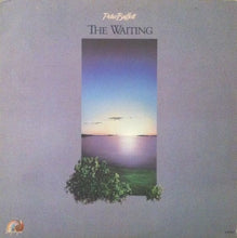 Load image into Gallery viewer, Peter Buffett : The Waiting (LP, Album)