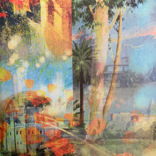 Load image into Gallery viewer, Brian Wilson : That Lucky Old Sun (LP, Album, Ltd)