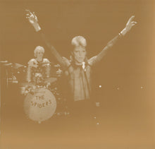 Load image into Gallery viewer, David Bowie : Ziggy Stardust And The Spiders From Mars: The Motion Picture Soundtrack (2xLP, Album, Ltd, RE, RM, Gol)