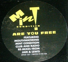 Load image into Gallery viewer, Mint Condition : Are You Free (12&quot;, Promo)