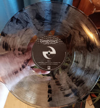 Load image into Gallery viewer, Evanescence : Fallen (LP, Album, RE, Cle)