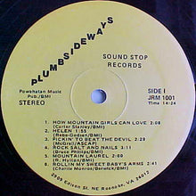 Load image into Gallery viewer, Plumsideways : Plumsideways (LP, Album)