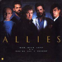 Load image into Gallery viewer, Allies : How Much Love / You're All I Needed (12", Promo)