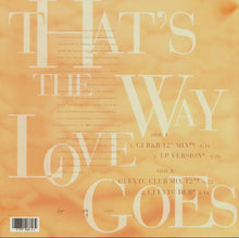 Load image into Gallery viewer, Janet Jackson : That&#39;s The Way Love Goes (12&quot;, Single)