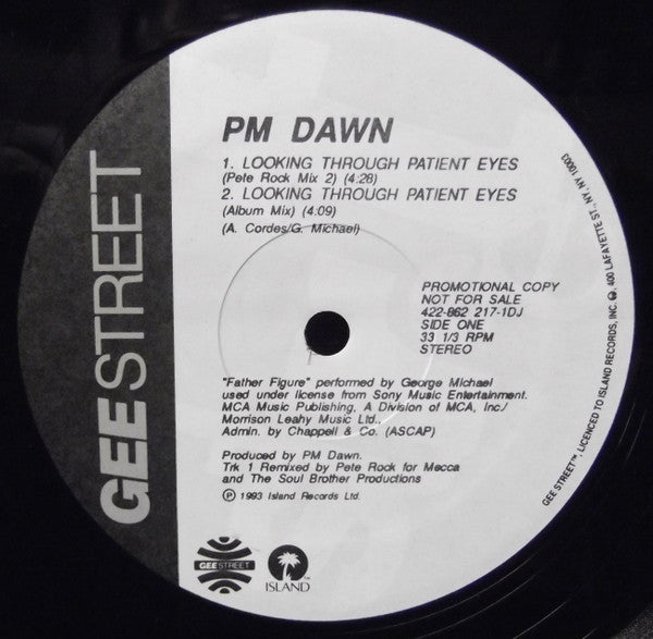 P.M. Dawn : Looking Through Patient Eyes (12