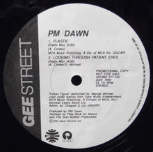 Load image into Gallery viewer, P.M. Dawn : Looking Through Patient Eyes (12&quot;, Promo)