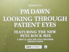 Load image into Gallery viewer, P.M. Dawn : Looking Through Patient Eyes (12&quot;, Promo)