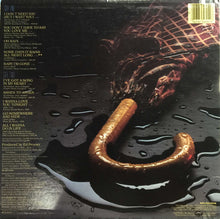 Load image into Gallery viewer, Terri Gibbs : Some Days It Rains All Night Long (LP, Album, Pin)