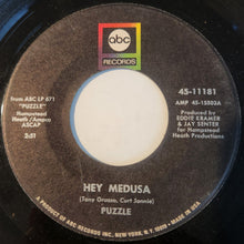 Load image into Gallery viewer, Puzzle (17) : Hey Medusa (7")