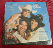 Load image into Gallery viewer, Dave Rowland &amp; Sugar* : New York Wine Tennessee Shine (LP, Album)