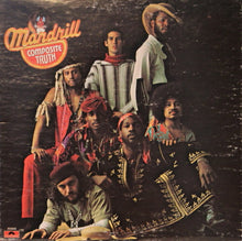 Load image into Gallery viewer, Mandrill : Composite Truth (LP, Album, Mon)