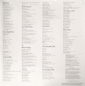 Reptar (2) : Body Faucet (2xLP, Album)