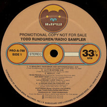 Load image into Gallery viewer, Todd Rundgren : Radio Sampler (LP, Promo, Smplr)