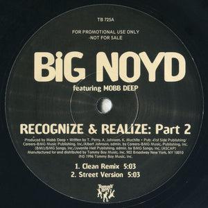 Big Noyd Featuring Mobb Deep : Recognize & Realize: Part 2 (12", Promo)