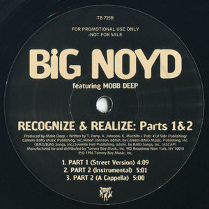 Big Noyd Featuring Mobb Deep : Recognize & Realize: Part 2 (12", Promo)