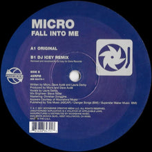 Load image into Gallery viewer, Micro* : Fall Into Me (12&quot;)