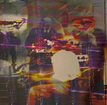 Load image into Gallery viewer, Animal Collective : Centipede Hz (2xLP, Album)
