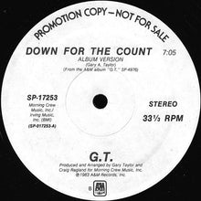 Load image into Gallery viewer, G.T.* : Down For The Count (12&quot;, Promo)