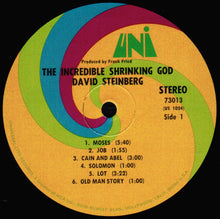 Load image into Gallery viewer, David Steinberg : The Incredible Shrinking God  (LP, Album)