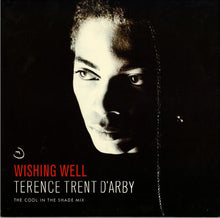Load image into Gallery viewer, Terence Trent D'Arby : Wishing Well (The Cool In The Shade Mix) (12")