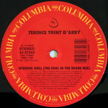 Load image into Gallery viewer, Terence Trent D'Arby : Wishing Well (The Cool In The Shade Mix) (12")