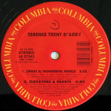 Load image into Gallery viewer, Terence Trent D'Arby : Wishing Well (The Cool In The Shade Mix) (12")