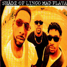Load image into Gallery viewer, Shadz Of Lingo : Mad Flavaz (12")