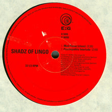 Load image into Gallery viewer, Shadz Of Lingo : Mad Flavaz (12")