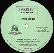 Load image into Gallery viewer, Divine Sounds : What People Do For Money (12&quot;)