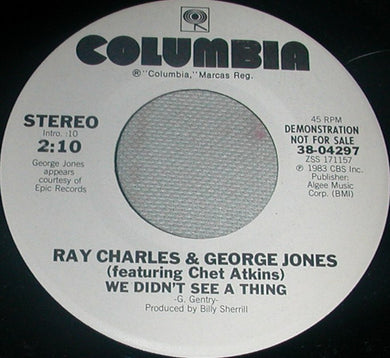 Ray Charles : We Didn't See A Thing  (7