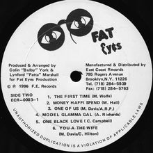 Load image into Gallery viewer, Various : East Coast Meets Fat Eyes (LP, Comp)